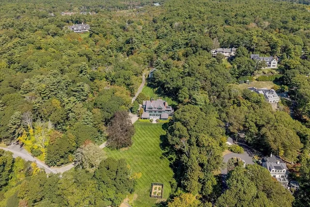 a view of a yard with plants
