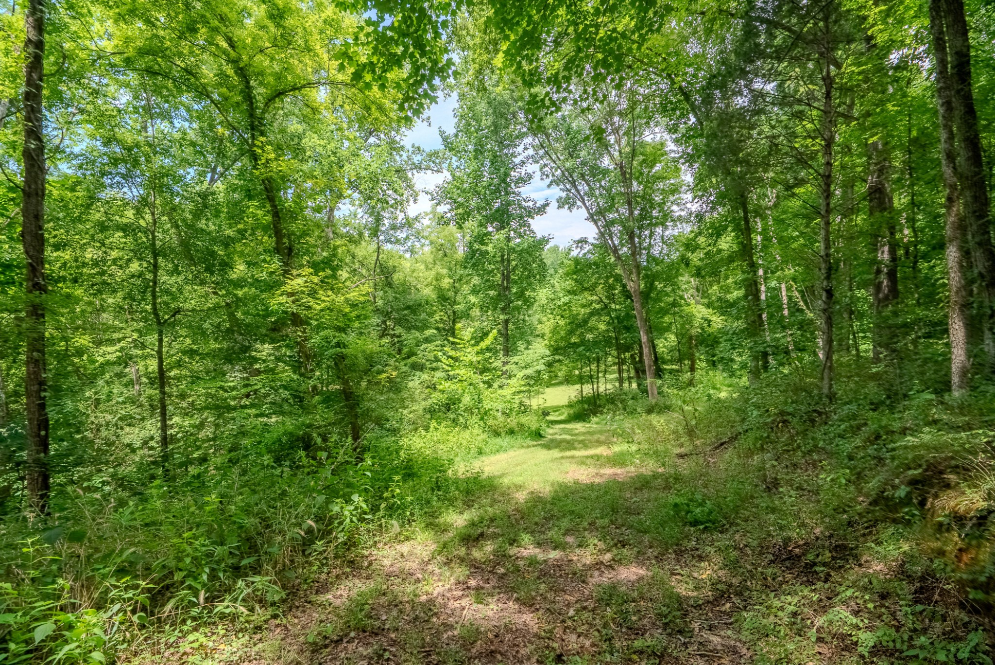0 Bethlehem Road Springfield, TN 37172 - Photo 12 of 41 Gallery Image 12