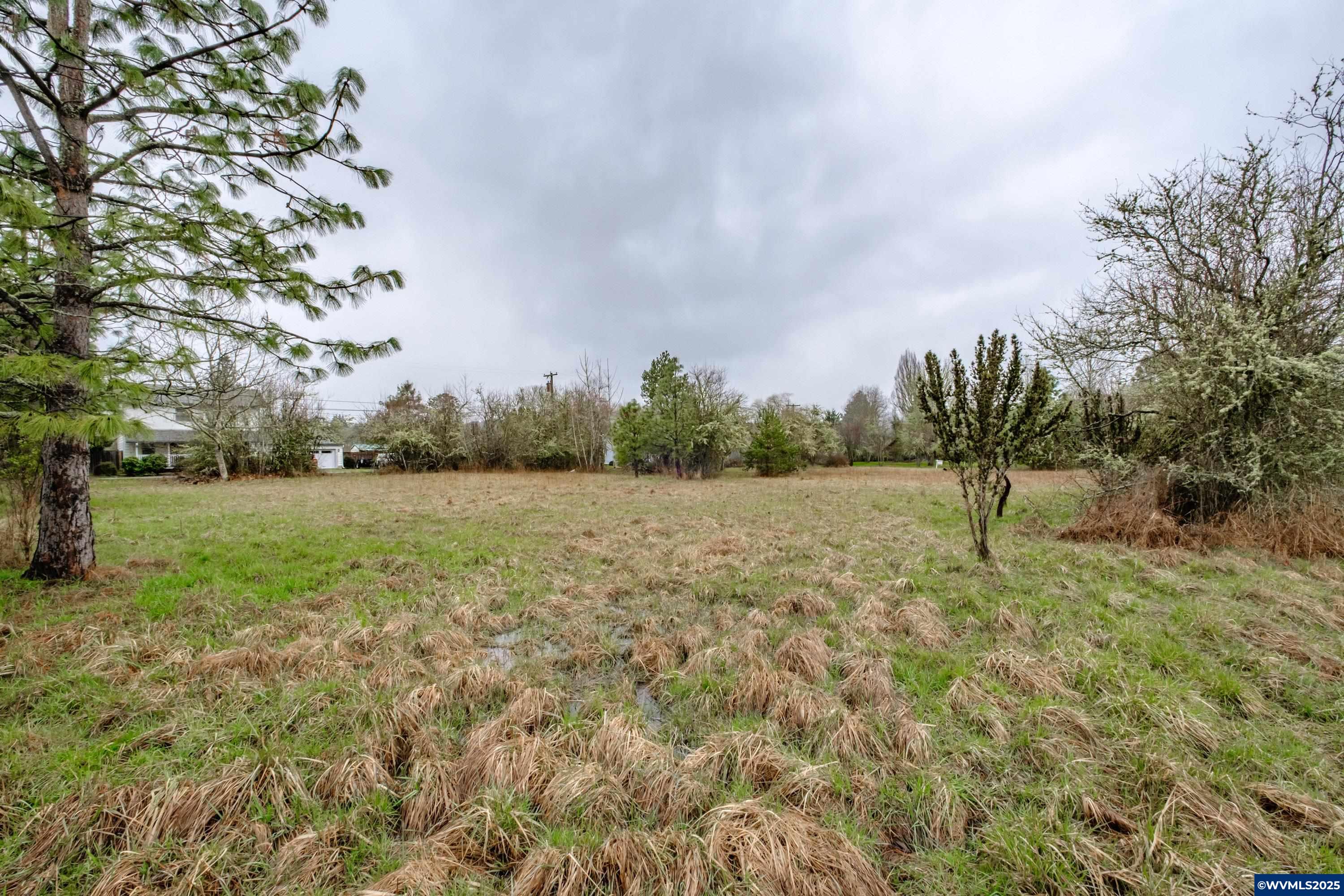 Parcel #142681 Southwest Parcel Street Corvallis, OR 97333 - Photo 5 of 8