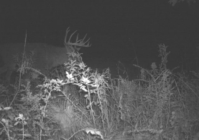 $540,820 | 43167 Guthrie Road, Gays Mills, WI 54631