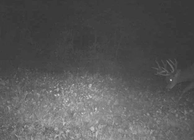 $540,820 | 43167 Guthrie Road, Gays Mills, WI 54631