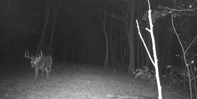 $540,820 | 43167 Guthrie Road, Gays Mills, WI 54631