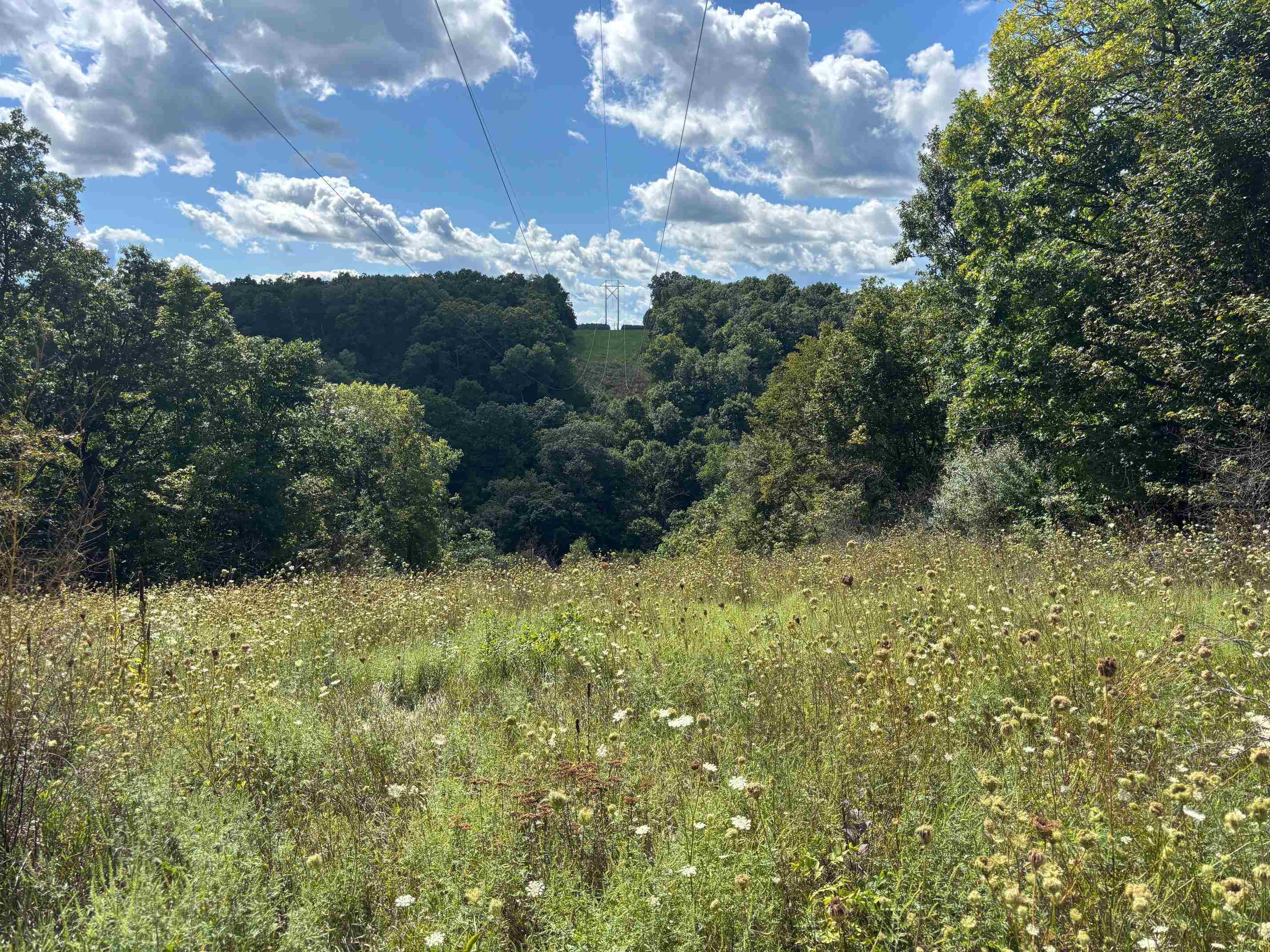 43167 Guthrie Road Gays Mills, WI 54631 - Photo 28 of 65