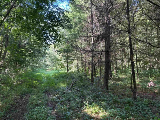 $540,820 | 43167 Guthrie Road, Gays Mills, WI 54631