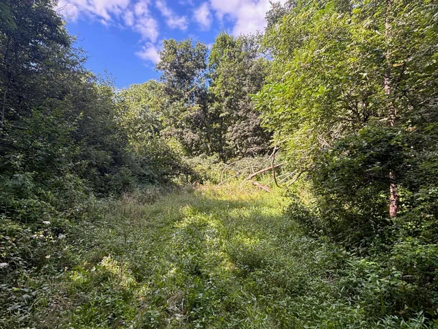 $540,820 | 43167 Guthrie Road, Gays Mills, WI 54631