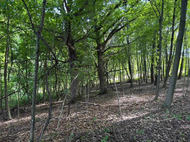 $540,820 | 43167 Guthrie Road, Gays Mills, WI 54631