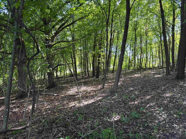 $540,820 | 43167 Guthrie Road, Gays Mills, WI 54631