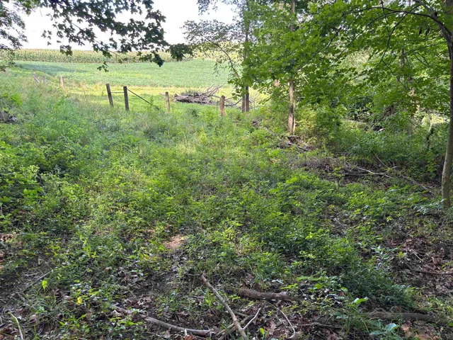 $540,820 | 43167 Guthrie Road, Gays Mills, WI 54631