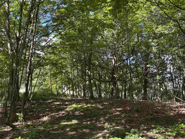 $540,820 | 43167 Guthrie Road, Gays Mills, WI 54631