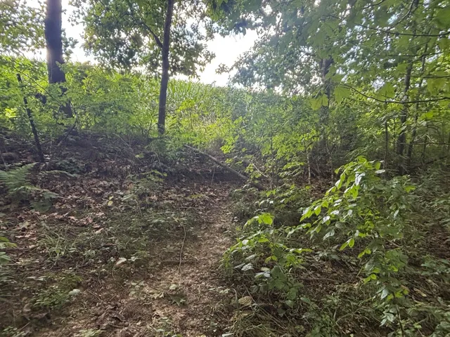 $540,820 | 43167 Guthrie Road, Gays Mills, WI 54631