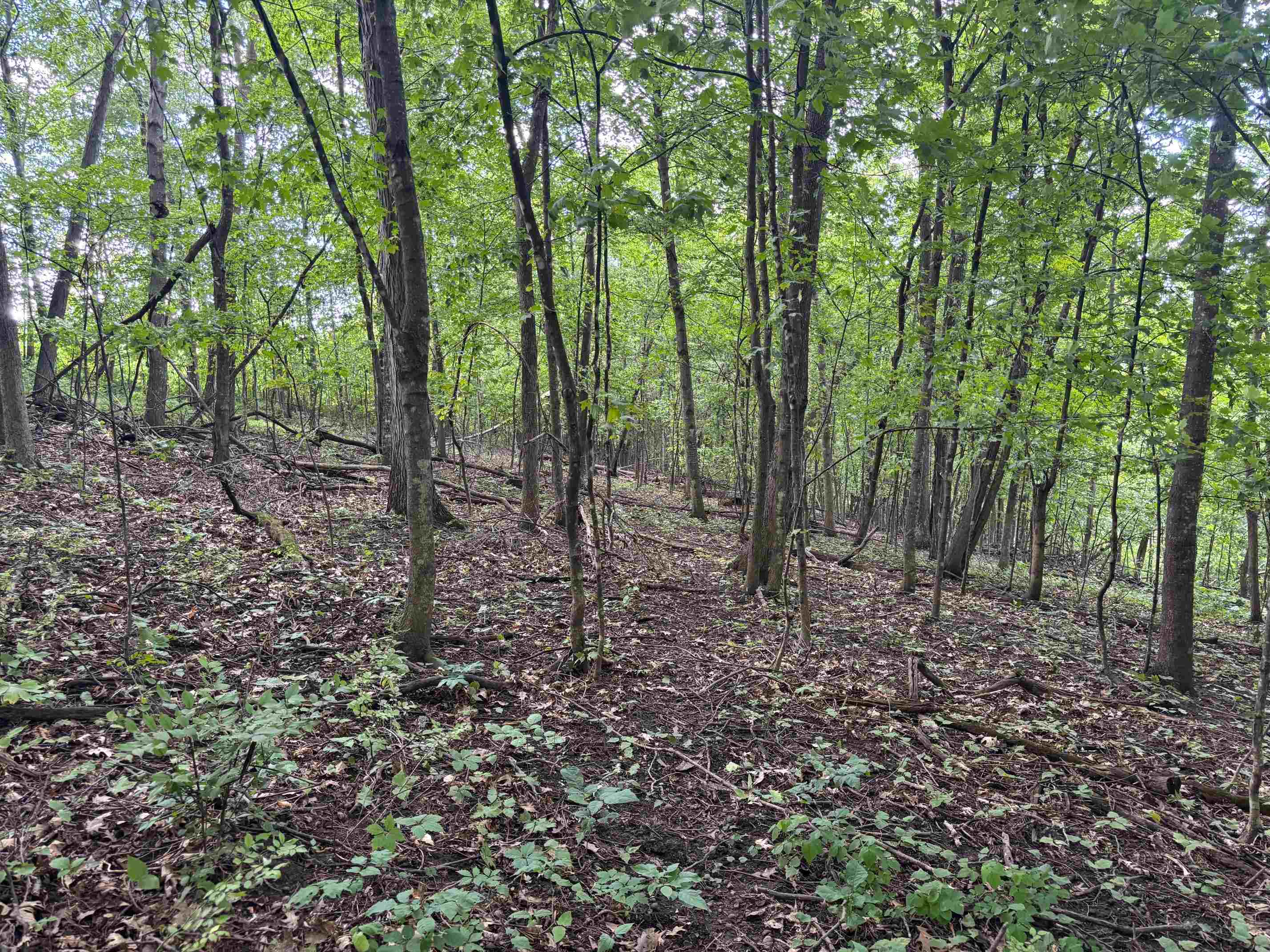 43167 Guthrie Road Gays Mills, WI 54631 - Photo 49 of 65