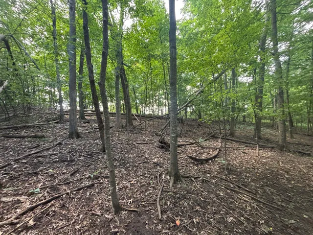 $540,820 | 43167 Guthrie Road, Gays Mills, WI 54631