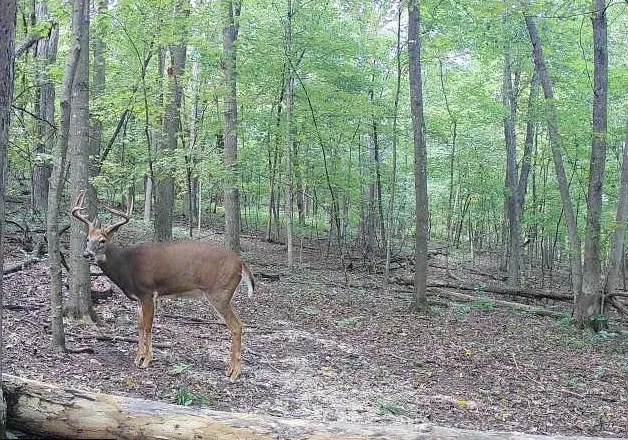 $540,820 | 43167 Guthrie Road, Gays Mills, WI 54631