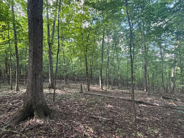 $540,820 | 43167 Guthrie Road, Gays Mills, WI 54631