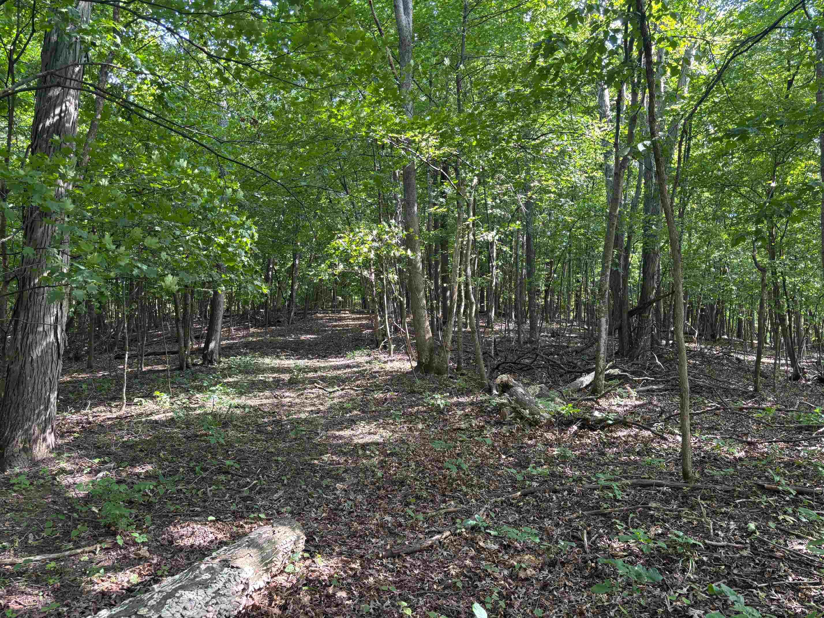 43167 Guthrie Road Gays Mills, WI 54631 - Photo 53 of 65
