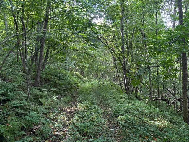 $540,820 | 43167 Guthrie Road, Gays Mills, WI 54631