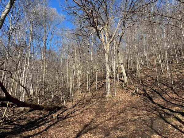 $502,190 | 43167 Guthrie Road, Gays Mills, WI 54631