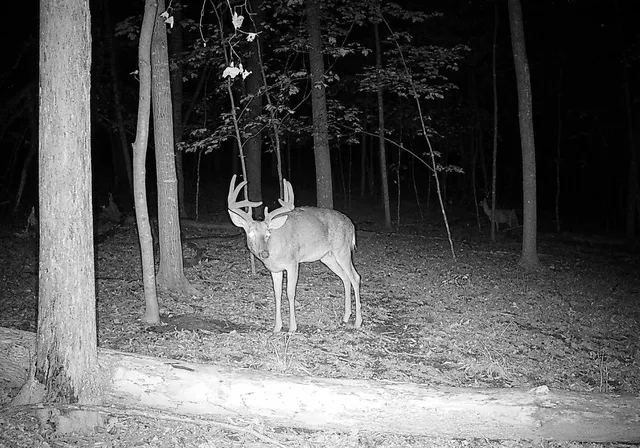 $540,820 | 43167 Guthrie Road, Gays Mills, WI 54631