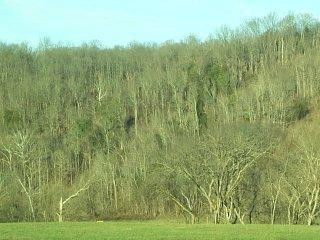 1 Wheeler Branch Road Richmond, KY 40475 - Photo 2 of 2 Photo 2