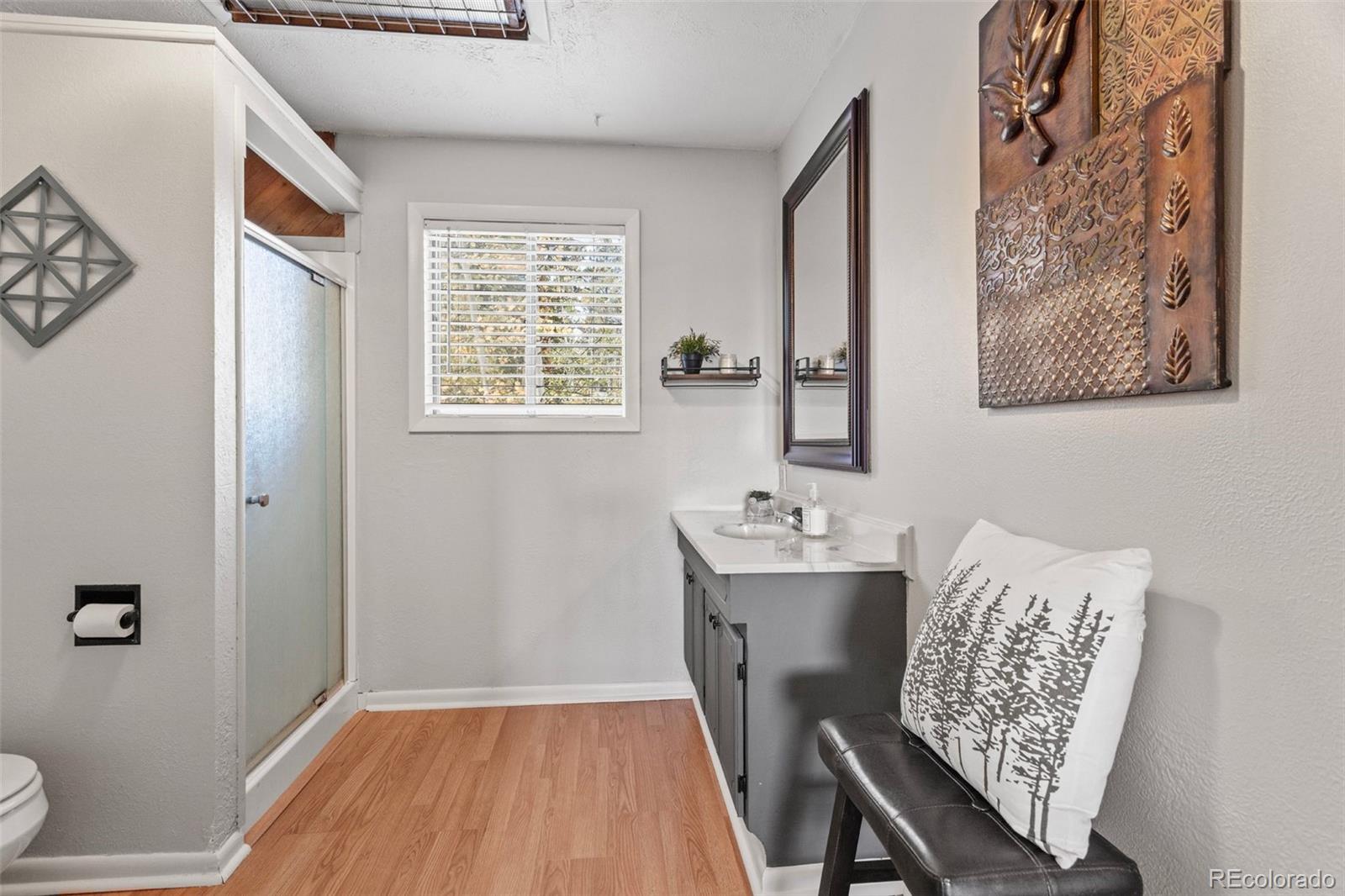 35 Phantom Creek Trail Bailey, CO 80421 - Photo 4 of 20