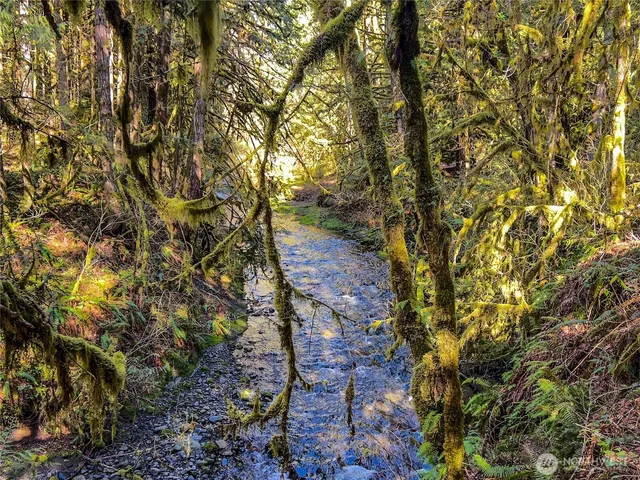 a view of a backyard with sitting area