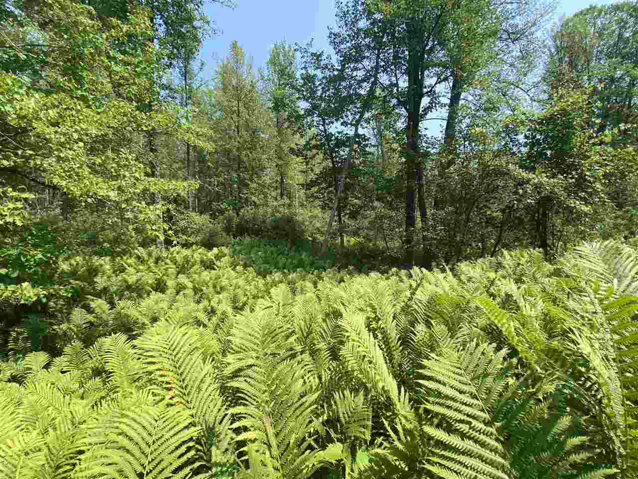 0 Briggs Road Omer, MI 48749 - Photo 36 of 45