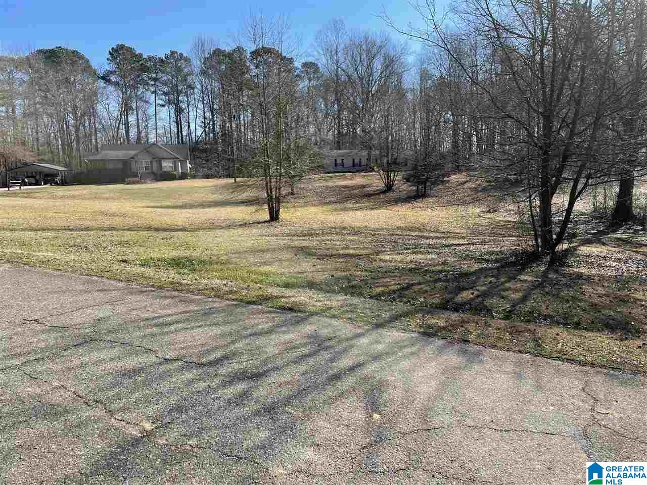 1499 Campbell Loop Road, Unit 1499 CAMPBELL LOOP RD Mount Olive, AL 35117 - Photo 3 of 3