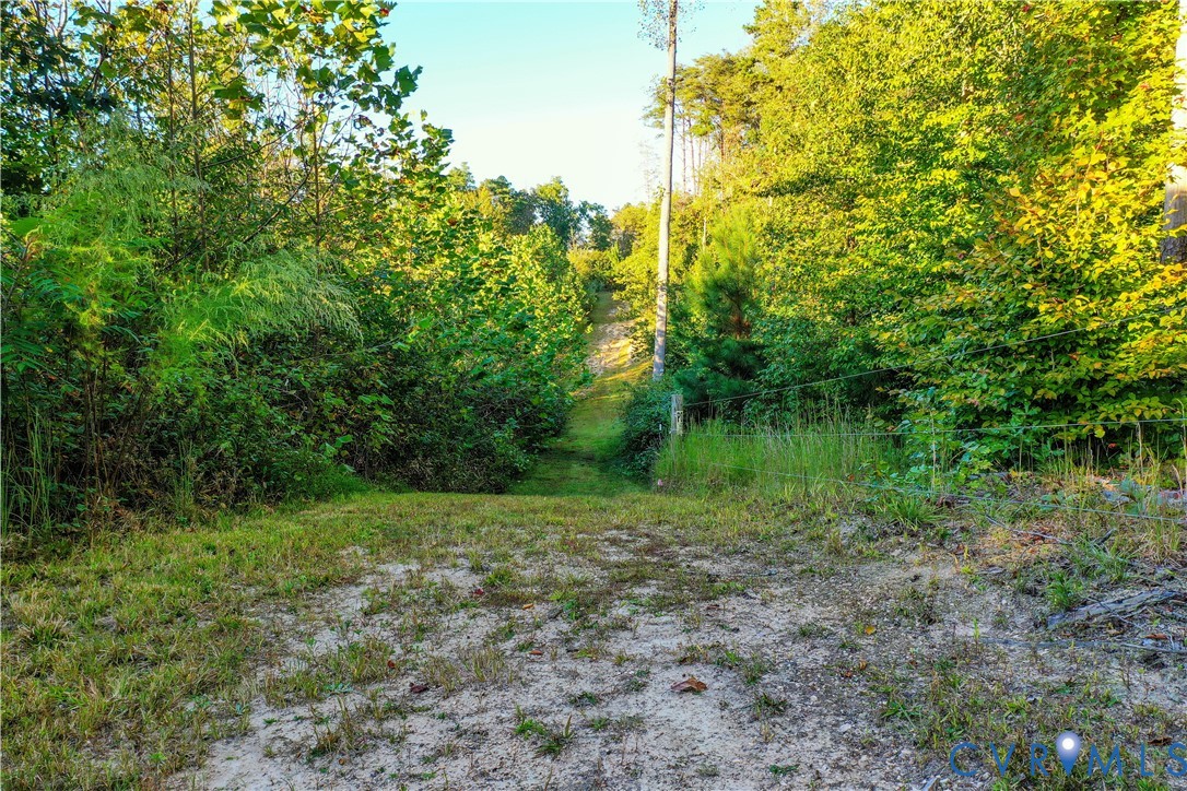 0 Old Ridge Road Farmville, VA 23901 - Photo 12 of 18