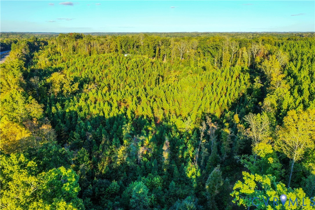 0 Old Ridge Road Farmville, VA 23901 - Photo 14 of 18