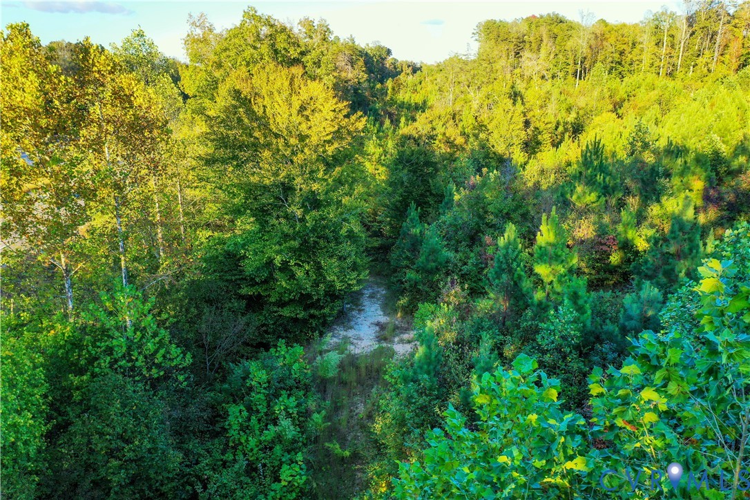 0 Old Ridge Road Farmville, VA 23901 - Photo 15 of 18