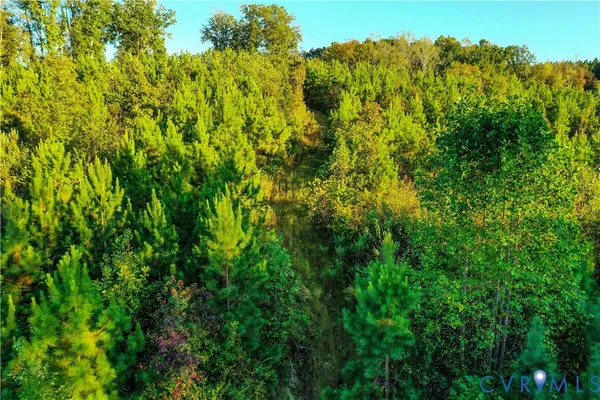 $99,900 | 0 Old Ridge Road, Farmville, VA 23901
