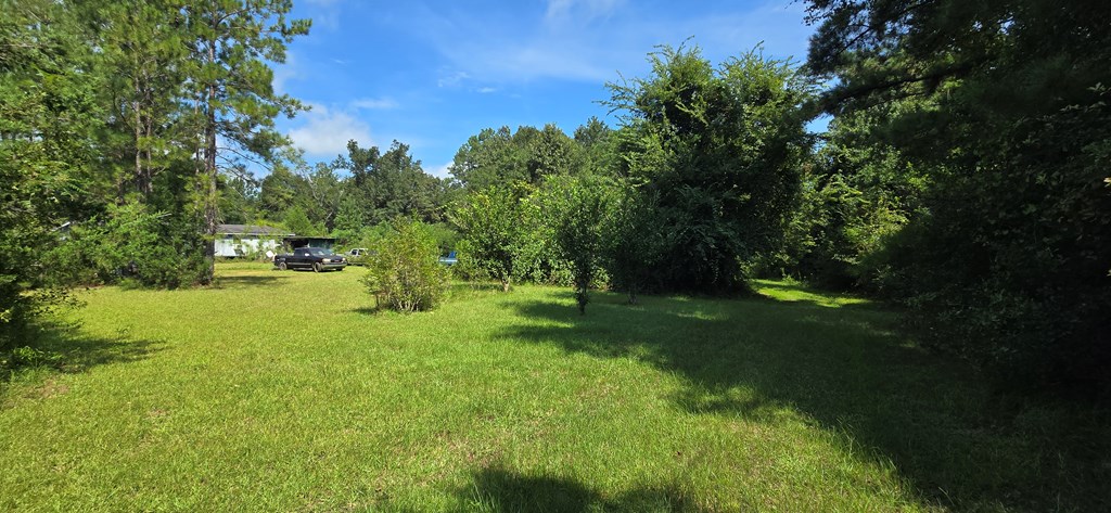 4739 Wallace Buie Road Columbia, AL 36319 - Photo 31 of 54