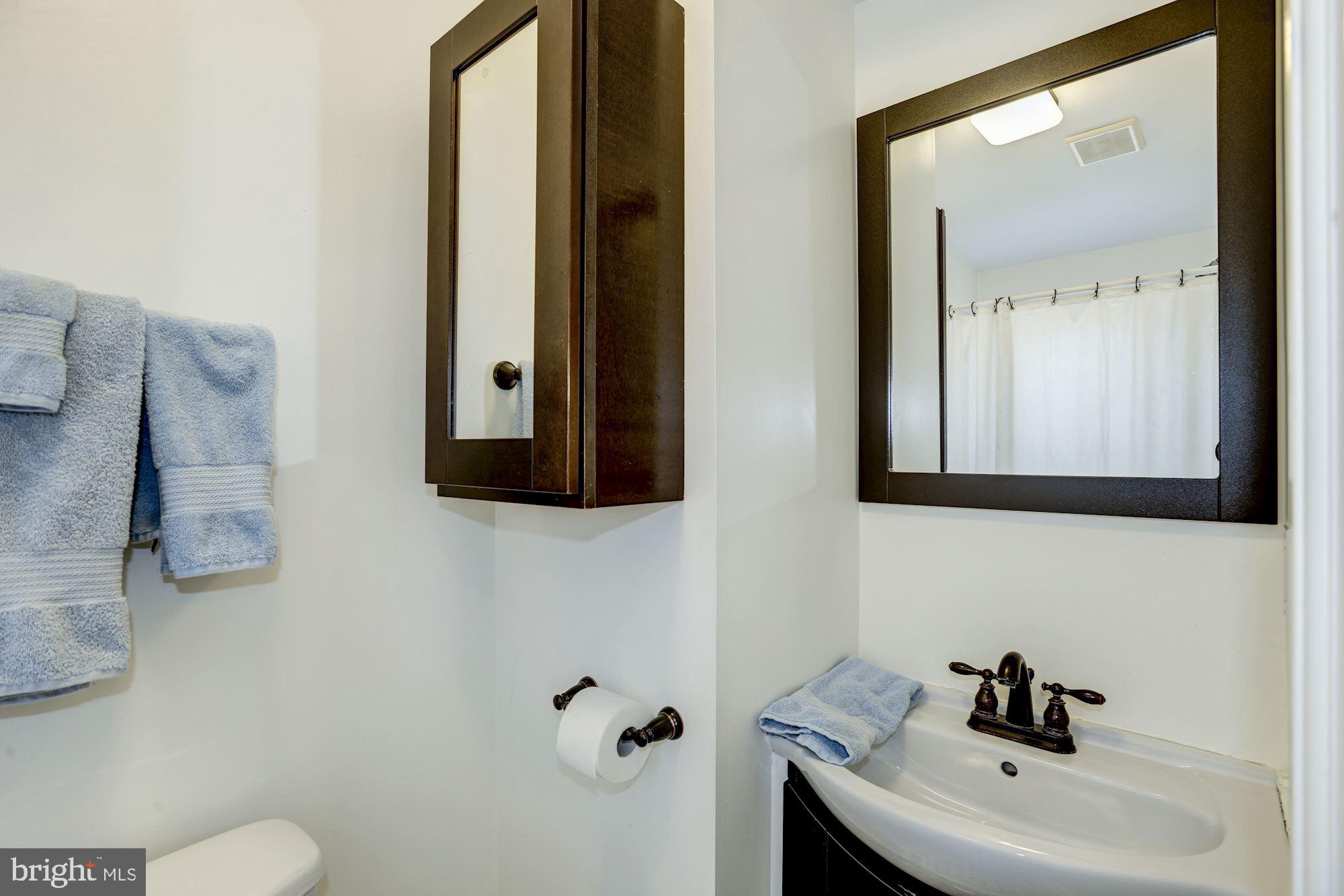 119 18th Street Southeast Washington, DC 20003 - Photo 22 of 31 En suite master bath with large glass block shower