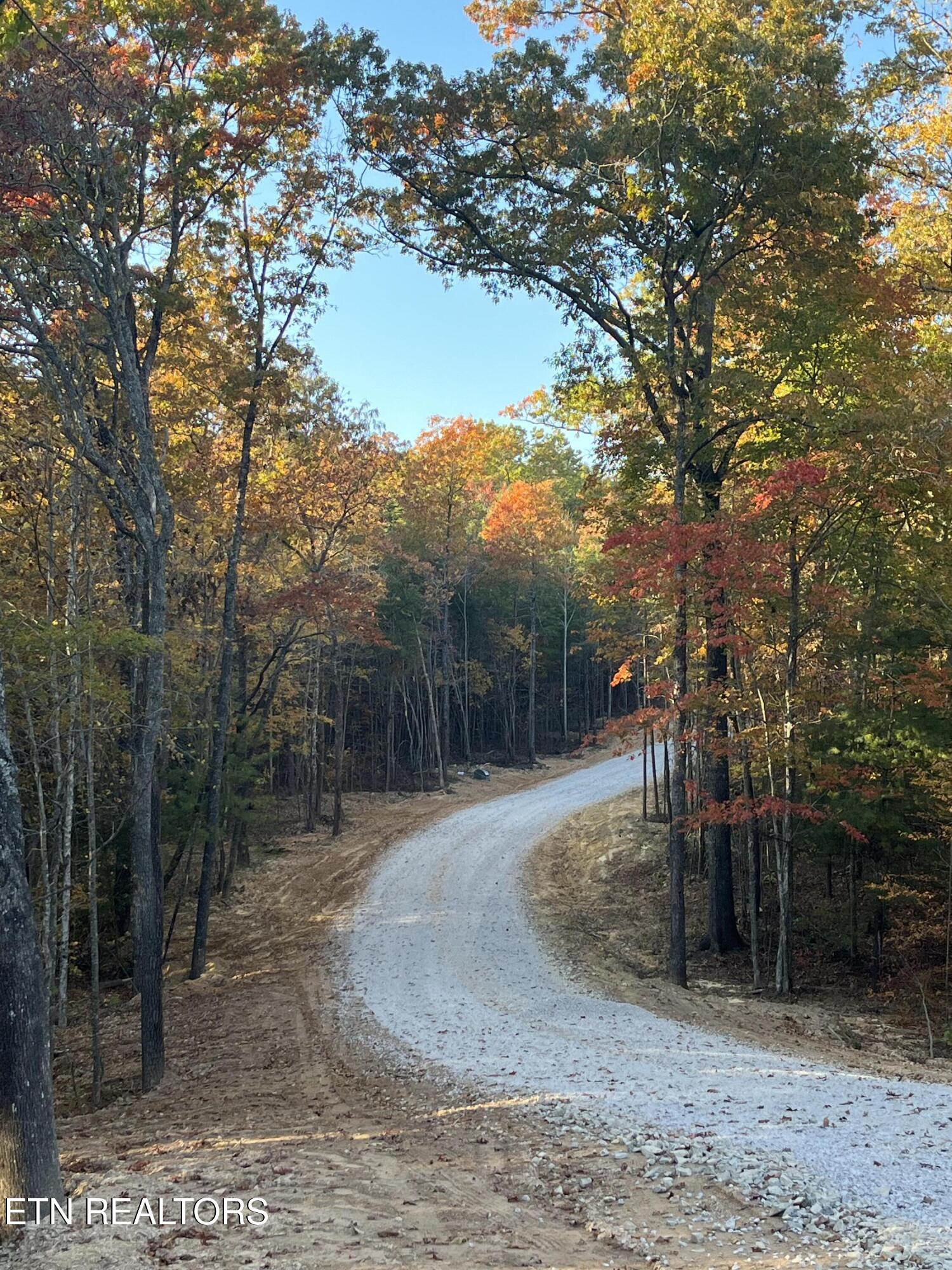 107 Cherokee Path Tellico Plains, TN 37385 - Photo 29 of 54 IMG_1745