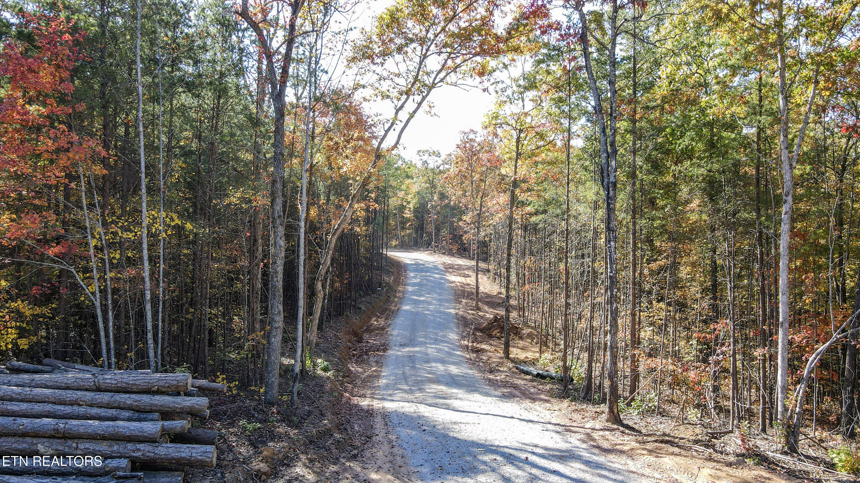 107 Cherokee Path Tellico Plains, TN 37385 - Photo 31 of 54 4-DJI_0305
