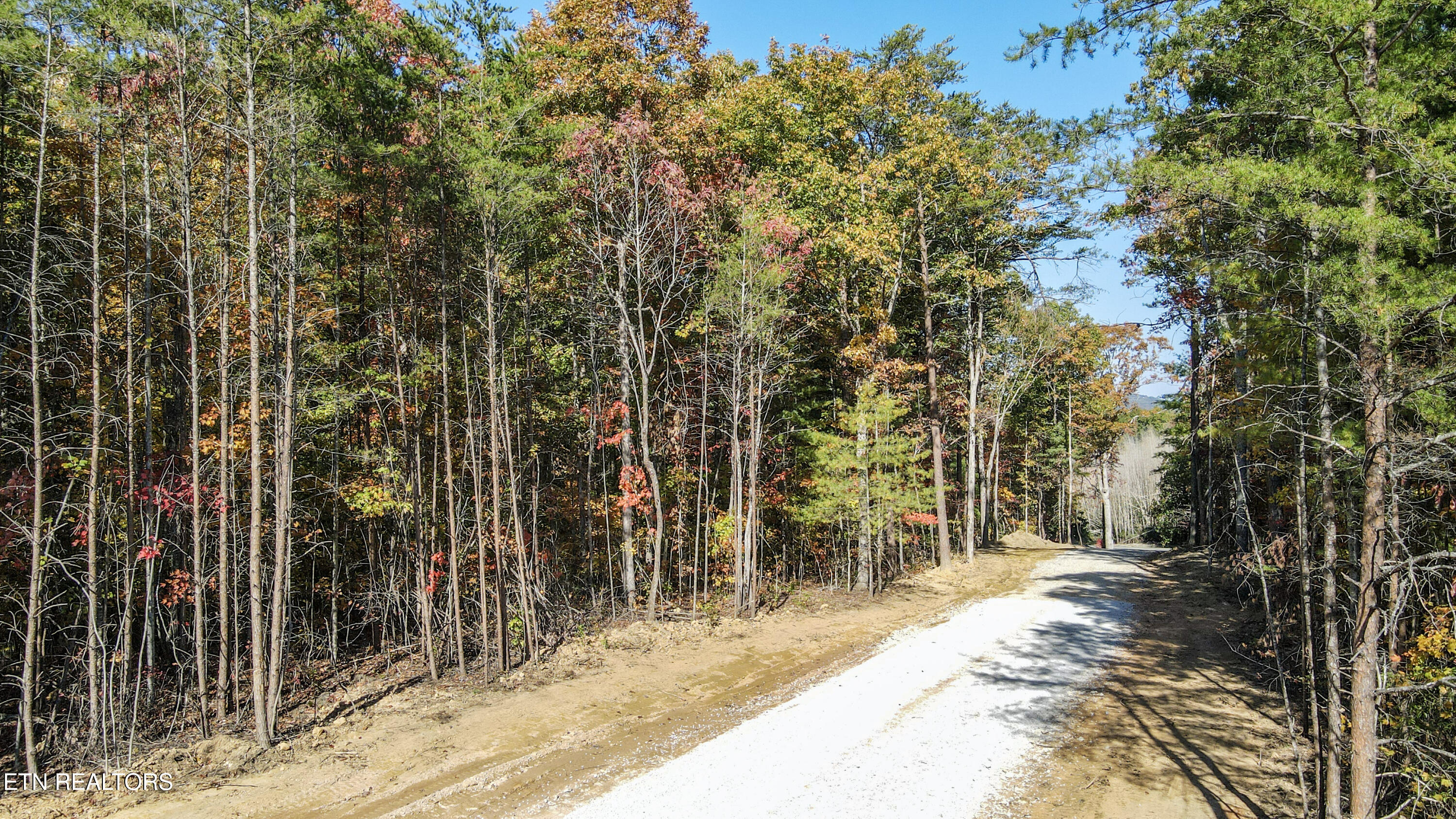 107 Cherokee Path Tellico Plains, TN 37385 - Photo 32 of 54 5-DJI_0306