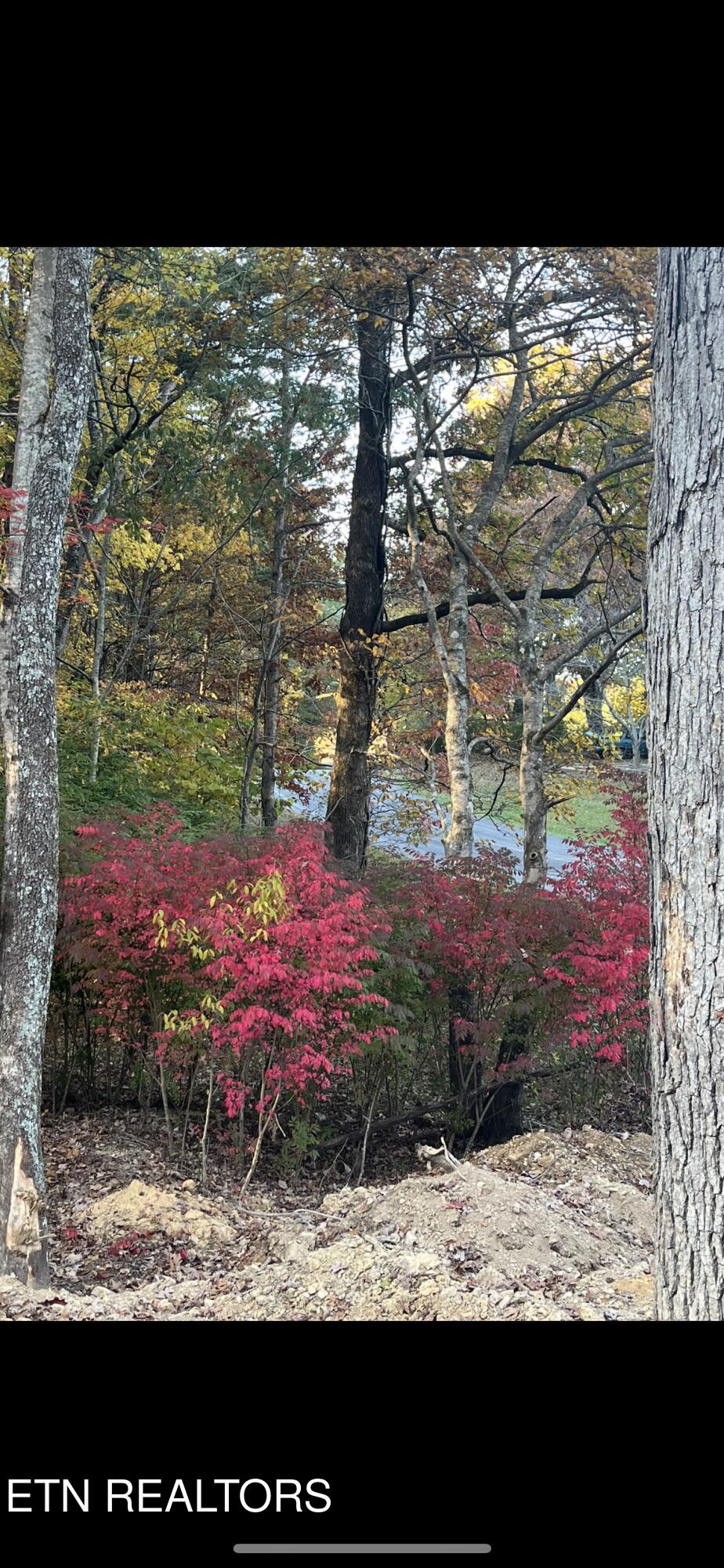 107 Cherokee Path Tellico Plains, TN 37385 - Photo 37 of 54 IMG_1756