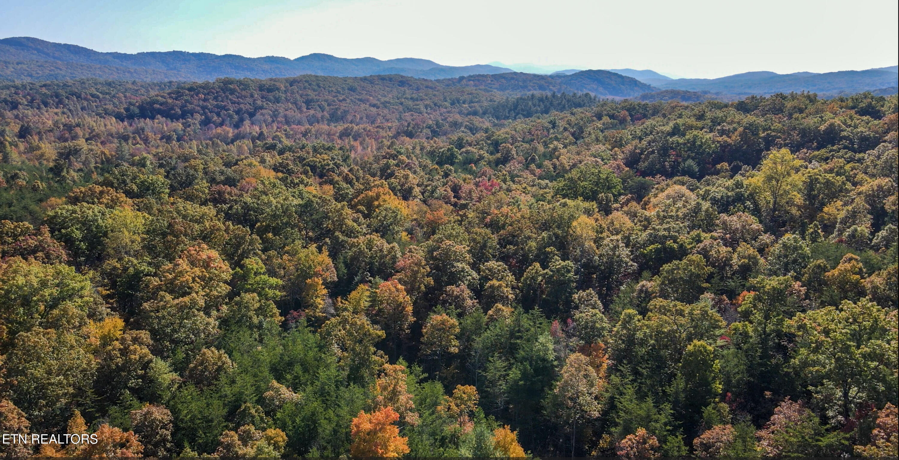107 Cherokee Path Tellico Plains, TN 37385 - Photo 45 of 54 20-87ac Hwy 68 3