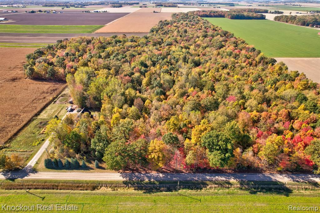 4000 South Reese Road Frankenmuth, MI 48734 - Photo 1 of 18