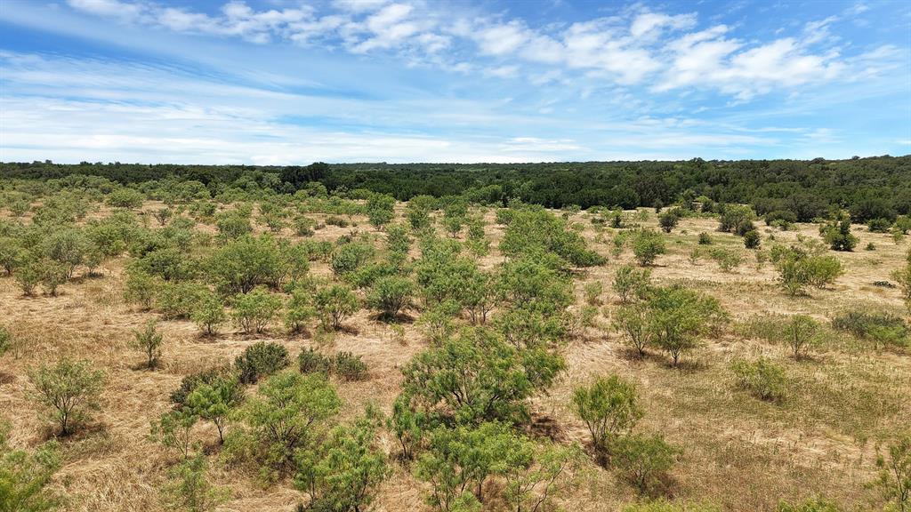 136 County Road 136, Unit 59 Ranger, TX 76470 - Photo 8 of 23