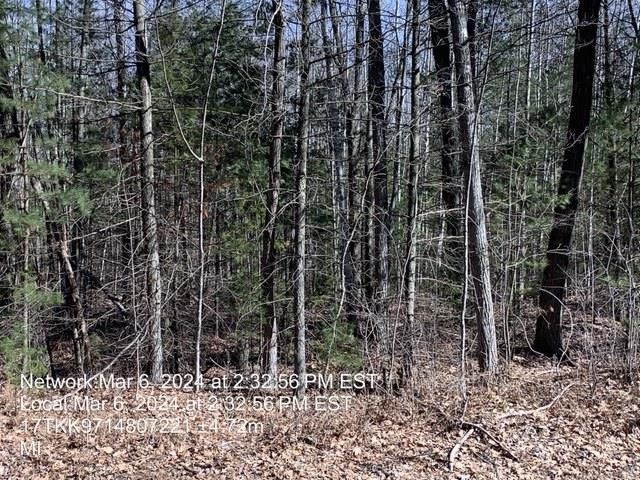 0 East Timreck Road, Unit PARCEL A Tawas City, MI 48763 - Photo 1 of 6
