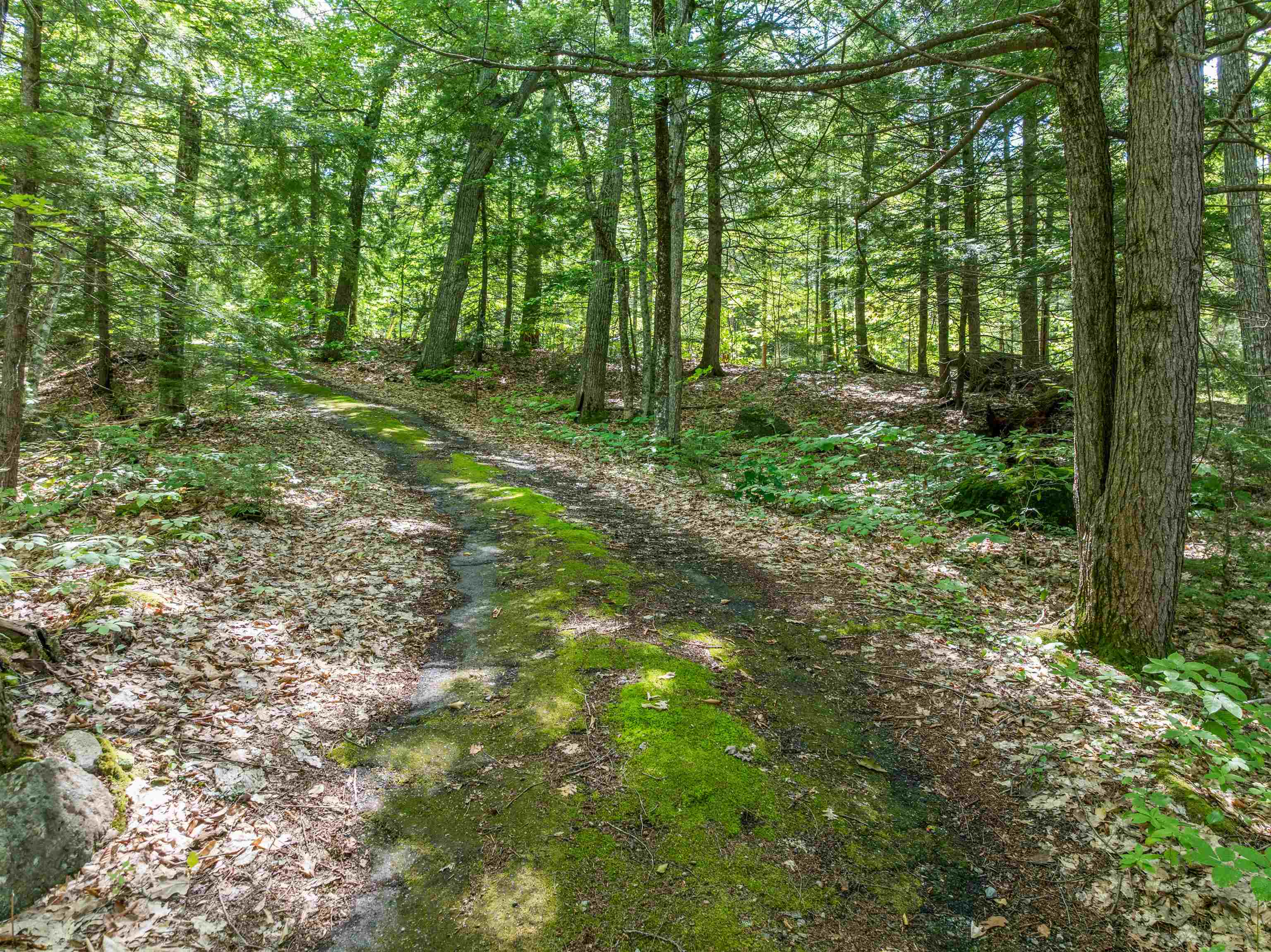 393 Chemung Road Meredith, NH 03253 - Photo 40 of 50 Gallery Image 40