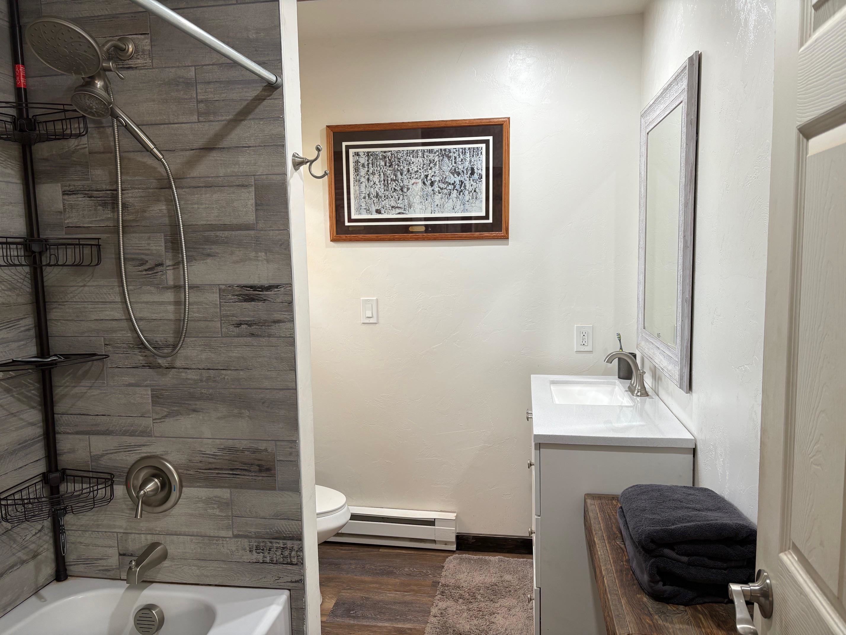24500 Timothy Road Cedaredge, CO 81413 - Photo 14 of 33 a bathroom with a sink a toilet and shower