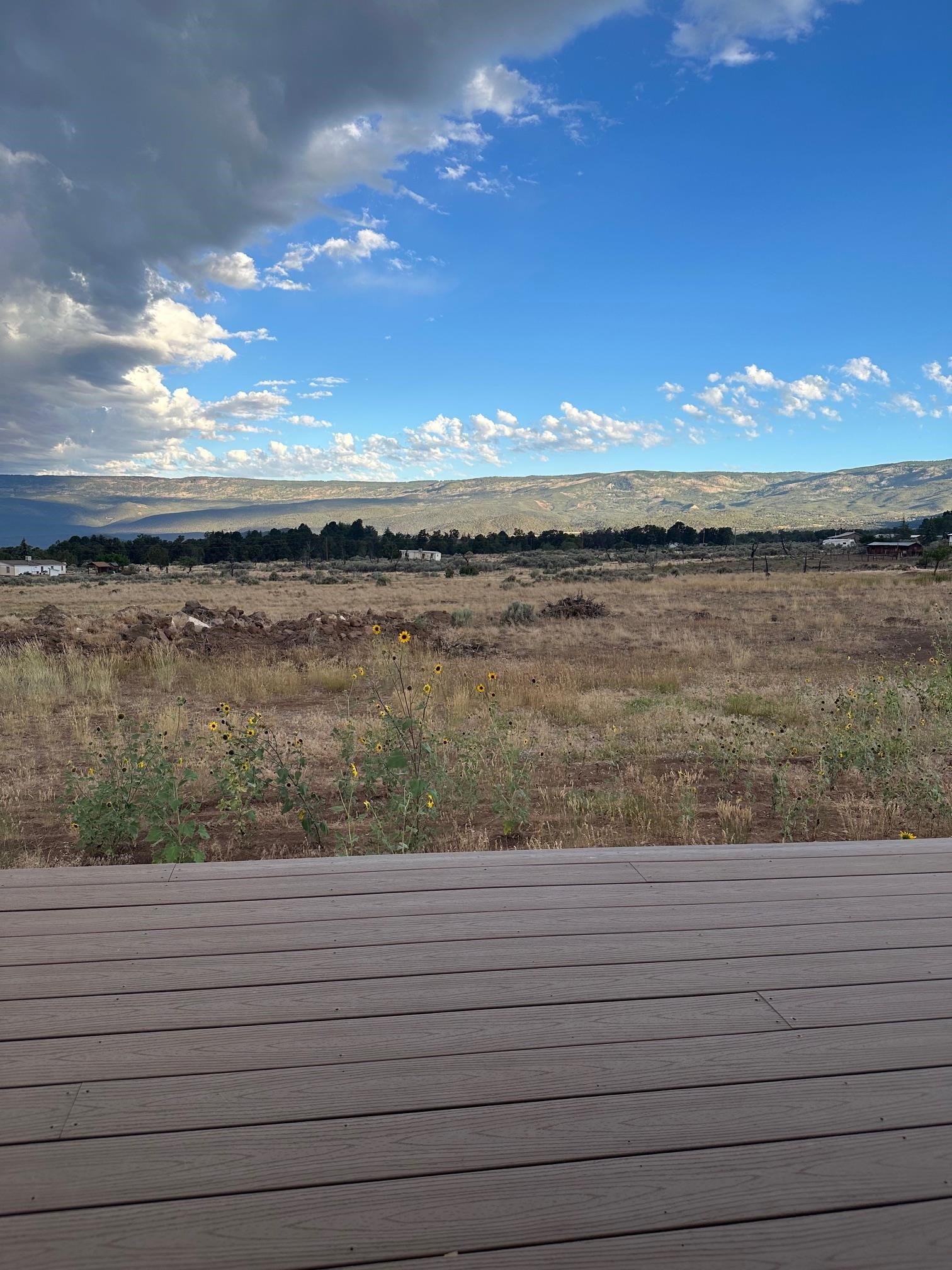 24500 Timothy Road Cedaredge, CO 81413 - Photo 16 of 33 a view of lake view