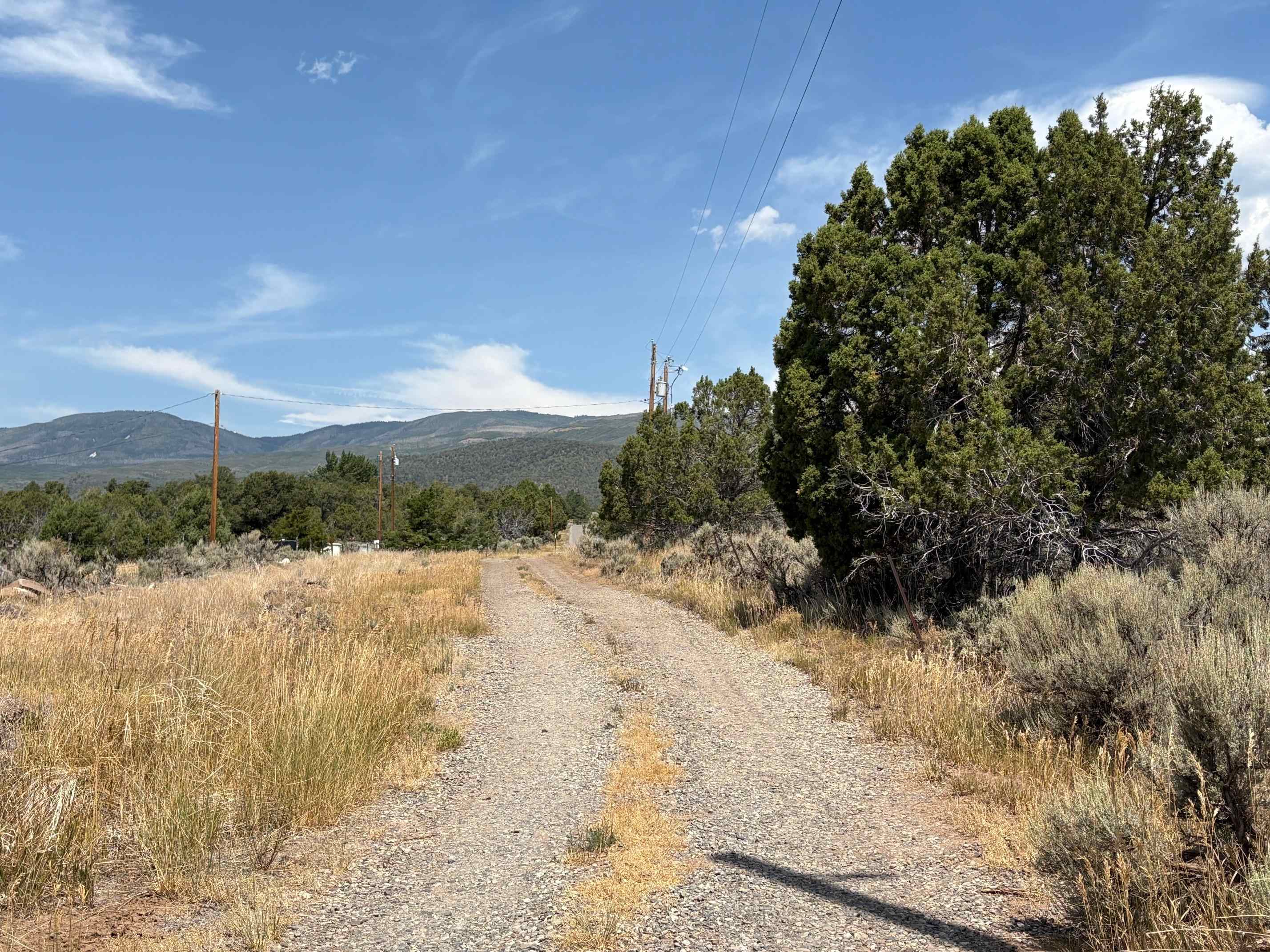 24500 Timothy Road Cedaredge, CO 81413 - Photo 31 of 33 a view of a yard with a tree