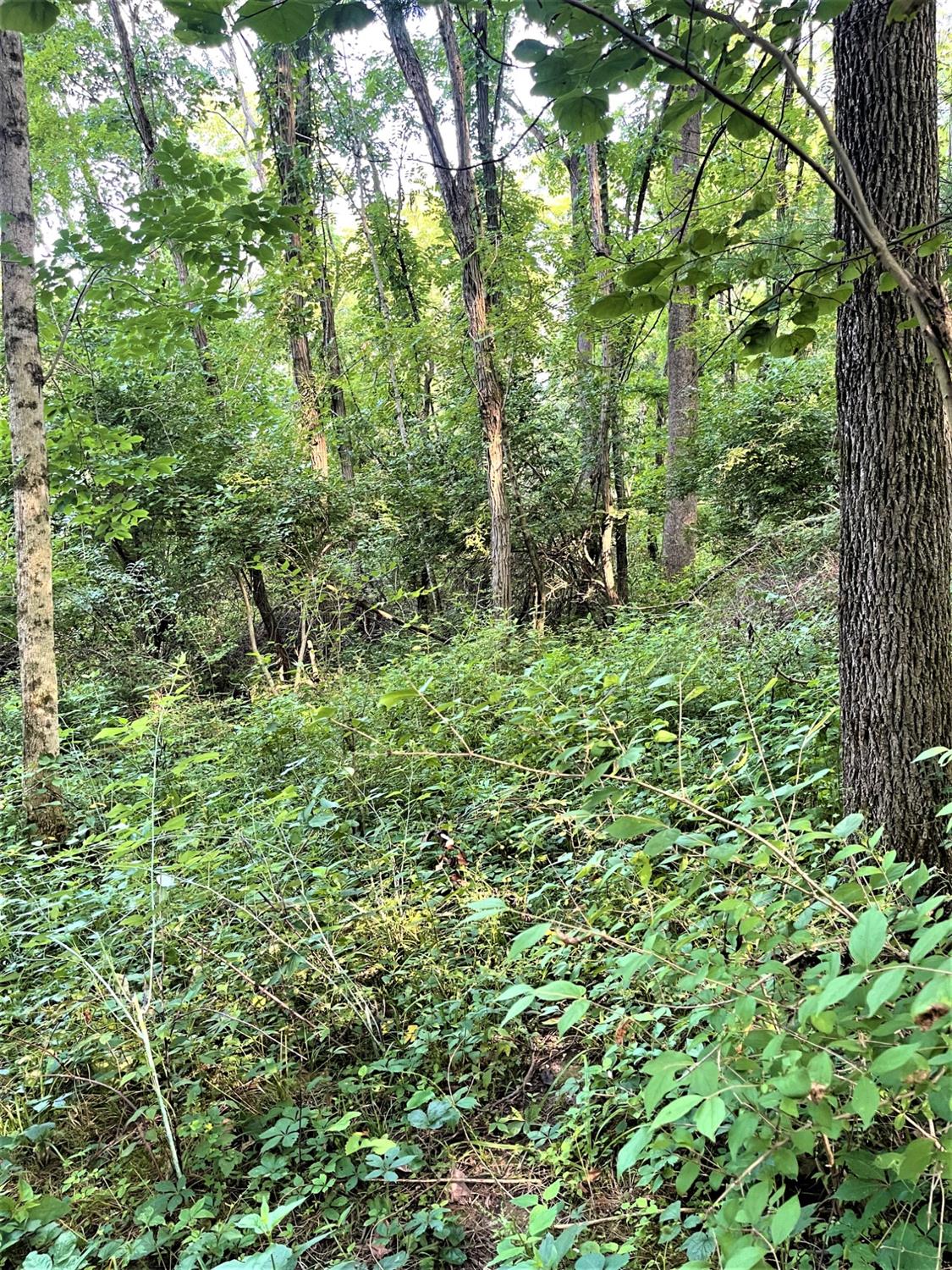 0 Pea Ridge Road Brookville, IN 47012 - Photo 1 of 5