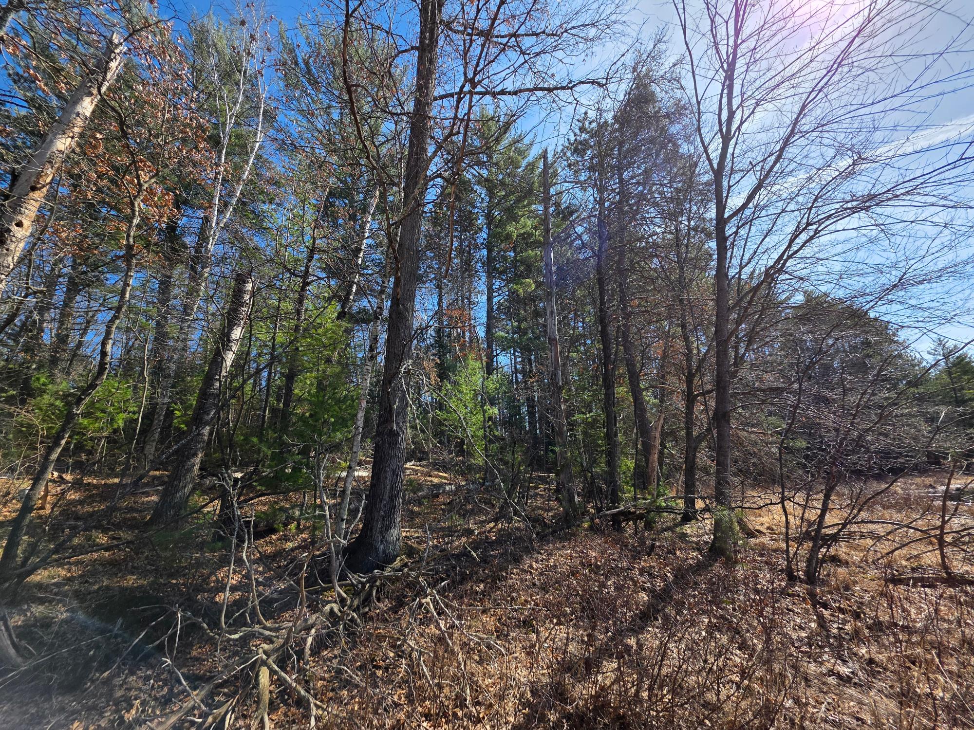 10023 Point O Pines Road Tomahawk, WI 54487 - Photo 10 of 25 Gallery Image 10