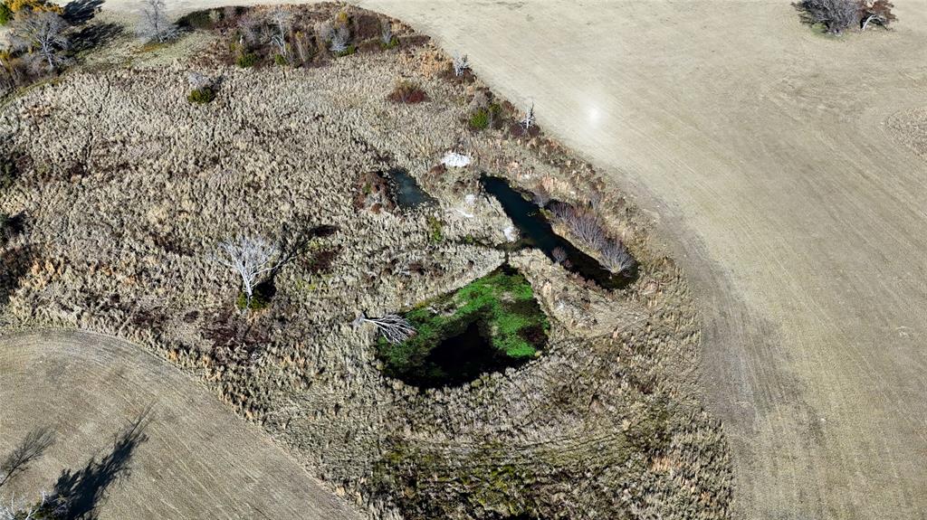 2495 Rd Athens Tx 75752 Road Athens, TX 75752 - Photo 8 of 12 a close up of a plant in a garden