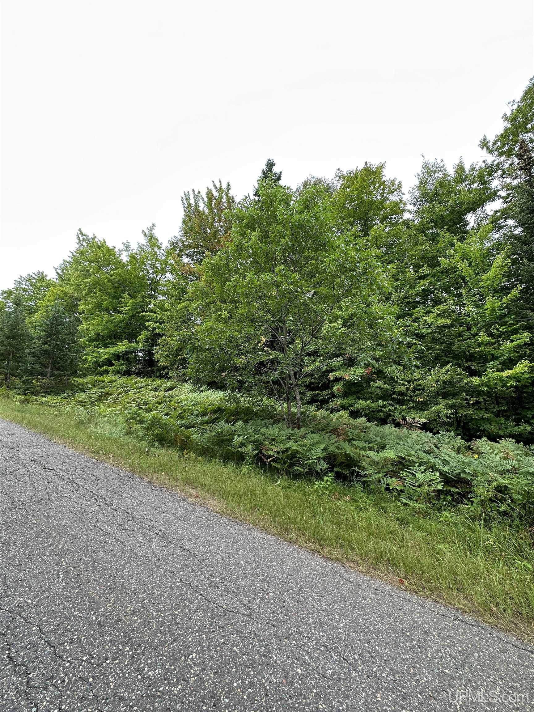 Lot #5 Maple Ridge Road Negaunee, MI 49866 - Photo 2 of 2