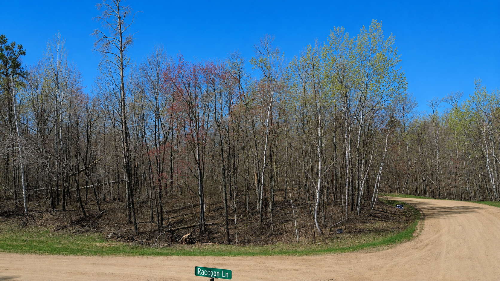 Tbd Flower Trail Breezy Point, MN 56472 - Photo 7 of 8 Gallery Image 7